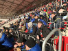 Kreisoberliga in der Arena Erfurt vor 912 Zuschauern SF Marbach - SpG An der Lache Erfurt 0:0 Foto 24.02.18, 15 54 35.jpg